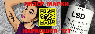 амф Сланцы