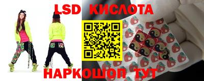 амф Сланцы