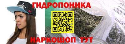 амф Сланцы