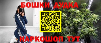 амф Сланцы